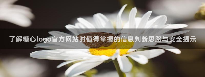 糖心logo官方网站