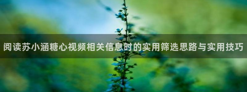 糖心logo在线观看：阅读苏小涵糖心视频相关信息时的实用筛选思路与实用技巧