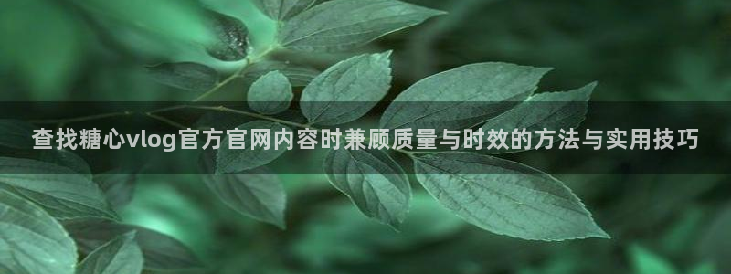 糖心vlog的视频：查找糖心vlog官方官网内容时兼顾质量与时效的方法与实用技巧
