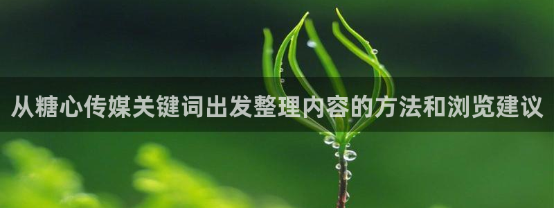 糖心vlog在线播放:从糖心传媒关键词出发整理内容的方法和浏览建议
