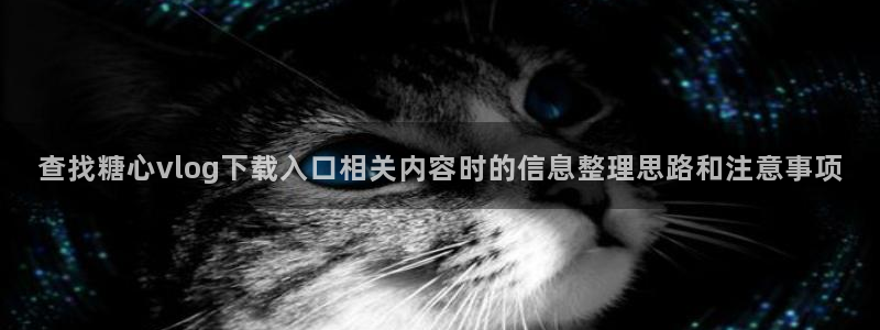糖心在线播放