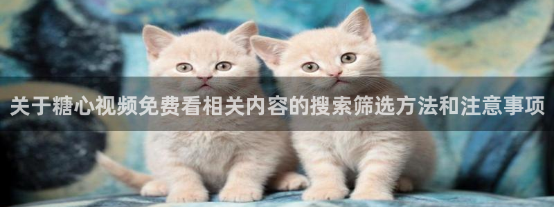 糖心vlog免费在线观看