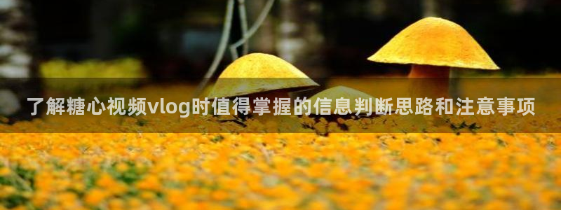 苏小涵糖心视频：了解糖心视频vlog时值得掌握的信息判断思路和注意事项
